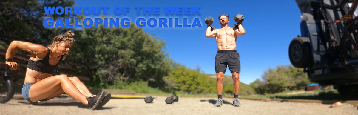 Workout of the Week – Galloping Gorilla